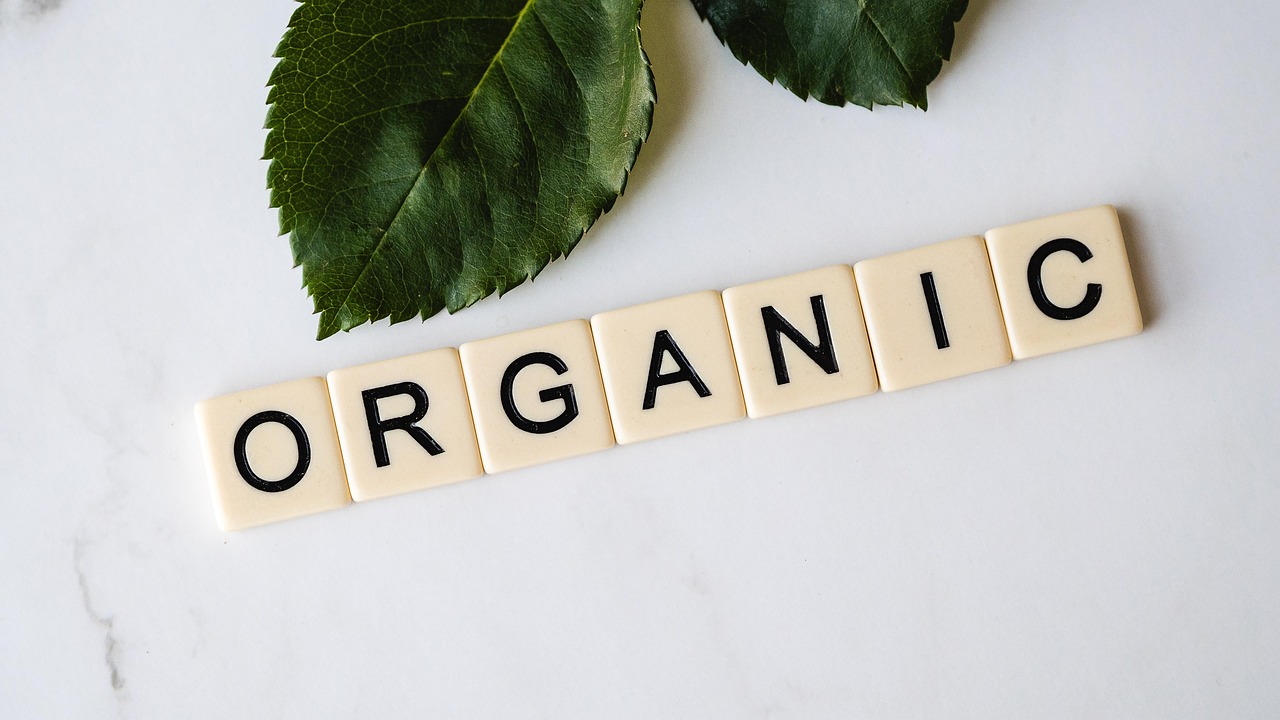 entdecken sie die besten veganen alternativen zu ihren lieblingsgerichten. von pflanzlichen milchsorten bis hin zu fleischlosen proteinen – finden sie schmackhafte und gesunde optionen für jeden anlass!