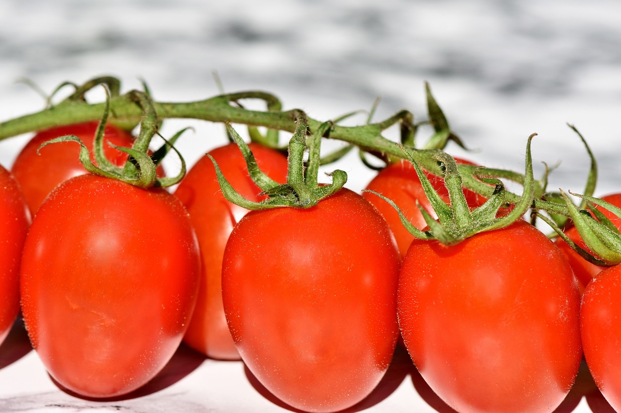 entdecken sie köstliche vegane alternativen für jeden geschmack! von pflanzlichen fleischersatzprodukten bis hin zu milchfreien snacks – genießen sie gesunde und nachhaltige optionen, die nicht nur vegan sind, sondern auch lecker schmecken.