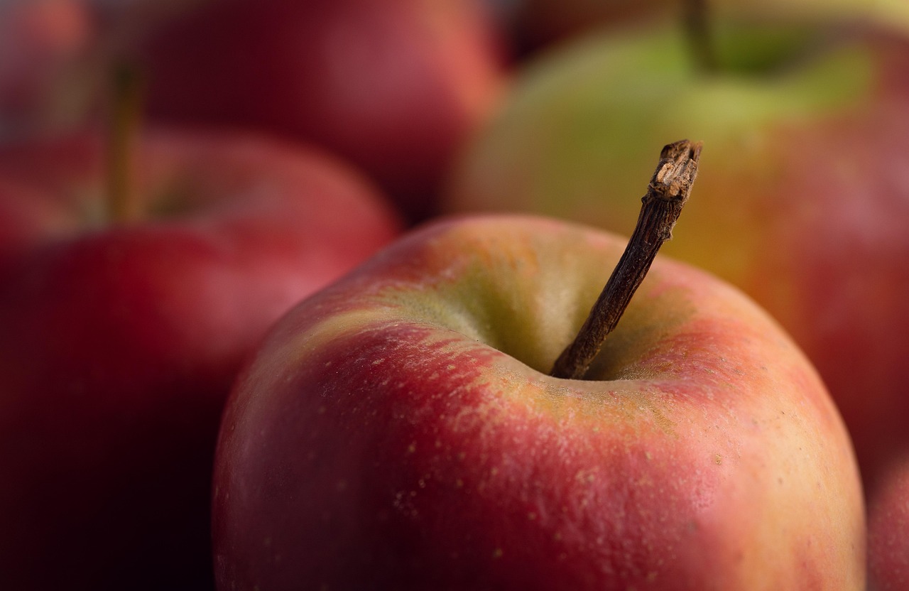 entdecken sie die welt der vitamine! erfahren sie, wie vitamine ihren körper unterstützen, ihre gesundheit fördern und ihr allgemeines wohlbefinden verbessern können. holen sie sich wertvolle tipps und informationen zur optimalen vitaminzufuhr.