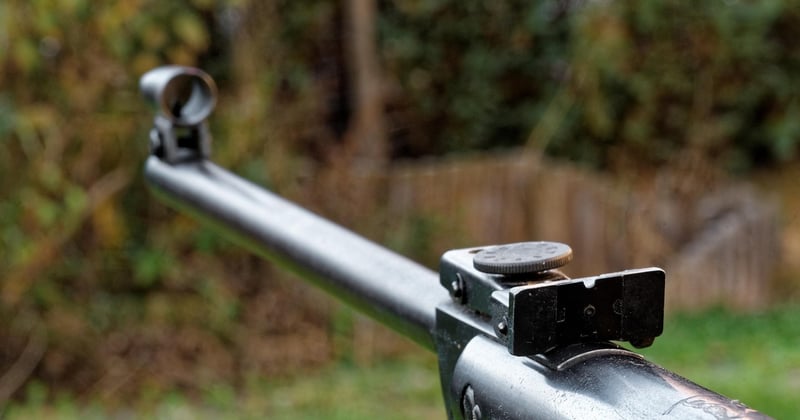 Luftgewehr Testsieger: Die besten Modelle im großen Vergleich